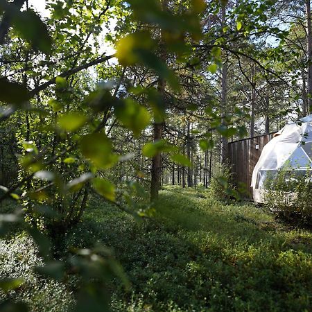 אלטה Glod Aurora Canvas Dome מראה חיצוני תמונה