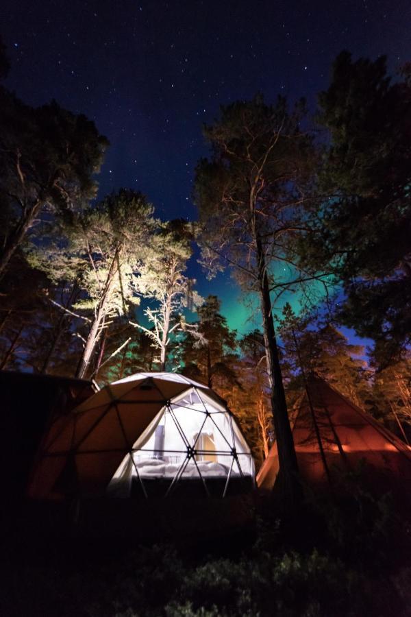 אלטה Glod Aurora Canvas Dome מראה חיצוני תמונה